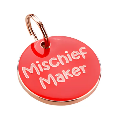 Mischief Maker ID Tag pet ID tag by K9 by Igloo